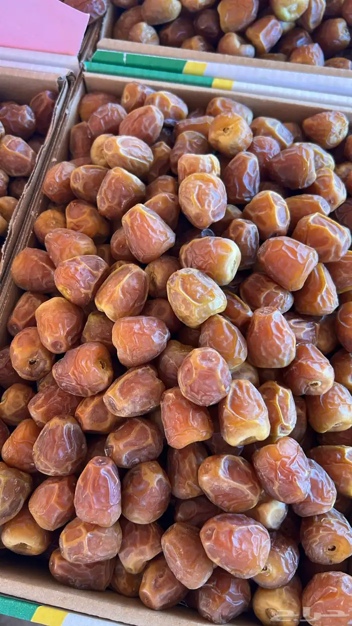 يوجد لدينا انواع التمور الفاخرة 4