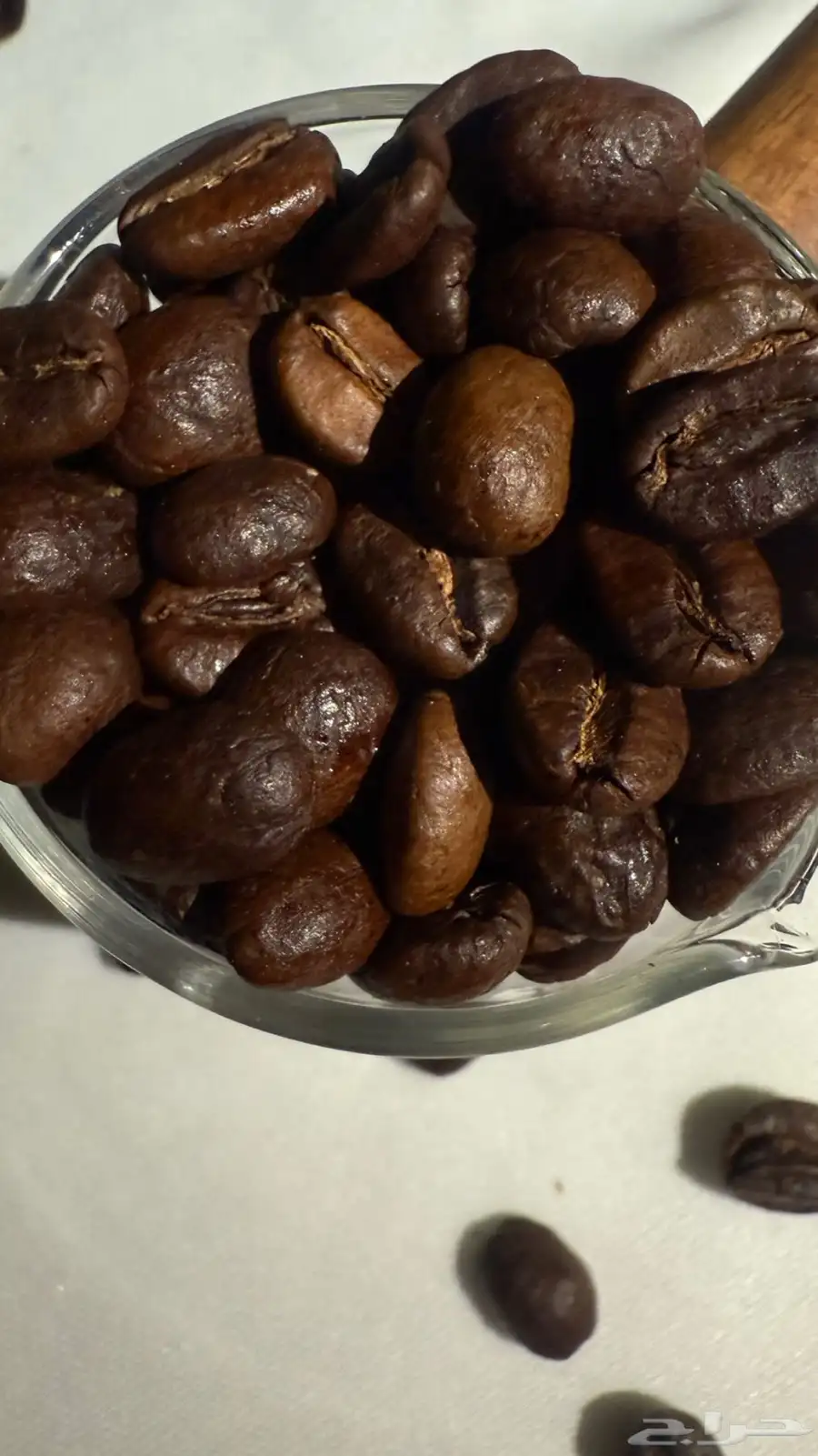 محمصة قهوة مختصه يوجد كميات بالطن و الكيلو 1