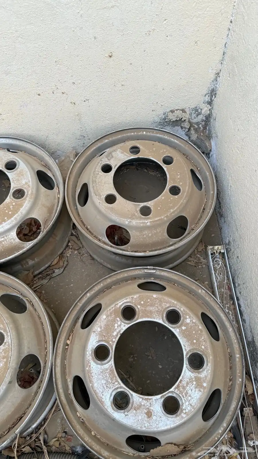 جنوط توبلس دينا و انوار اماميه 3