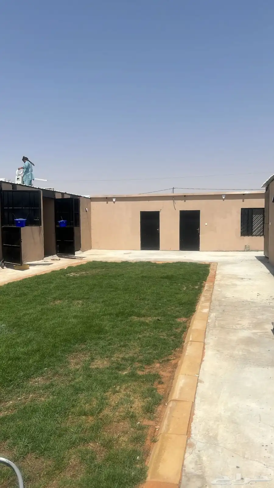 اسطبل الجدان للخيل العربيه الاصيله ايواء وعسف وتدريب 4
