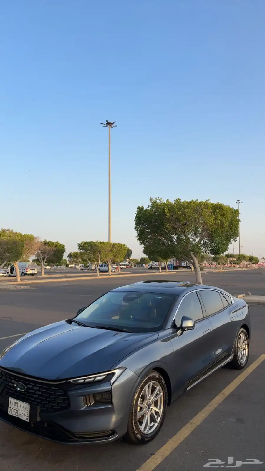 توريس 2023 فئة الترند index