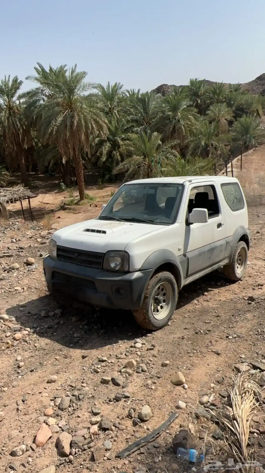جمني للبيع 0