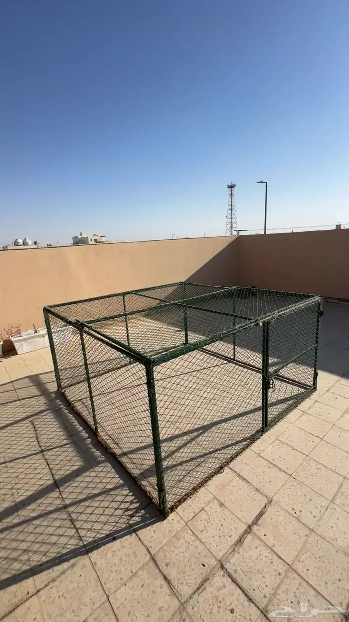 عشه شبك 0
