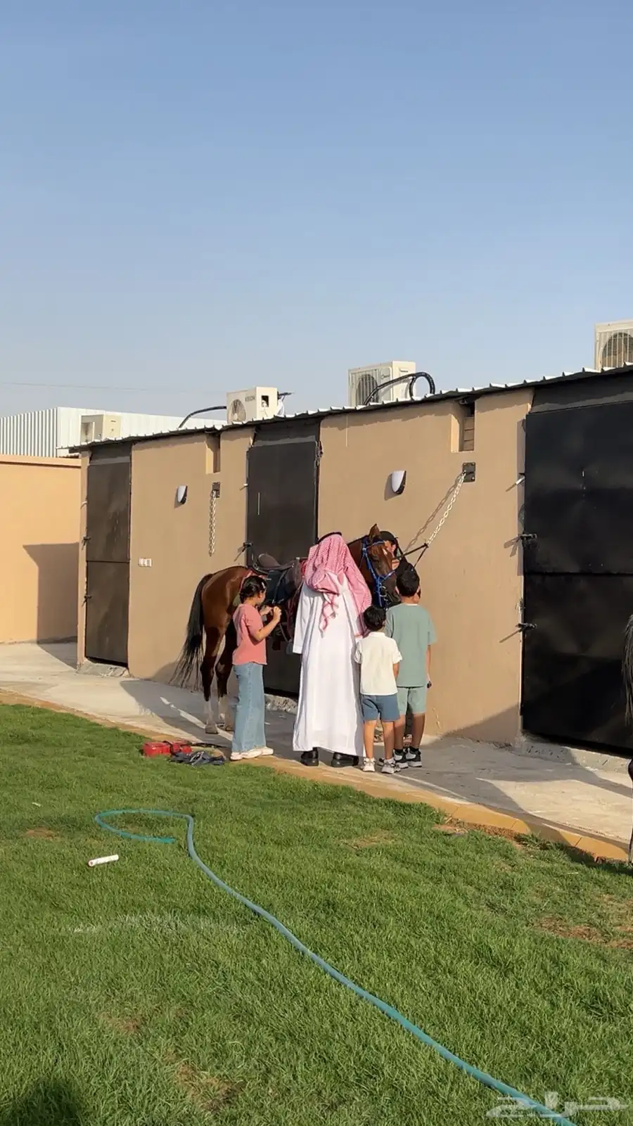 اسطبل الجدان للخيل العربيه الاصيله ايواء وعسف وتدريب 2