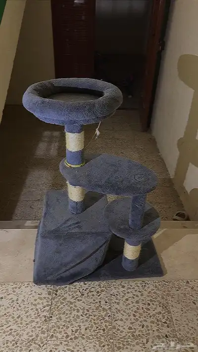 قطط 0