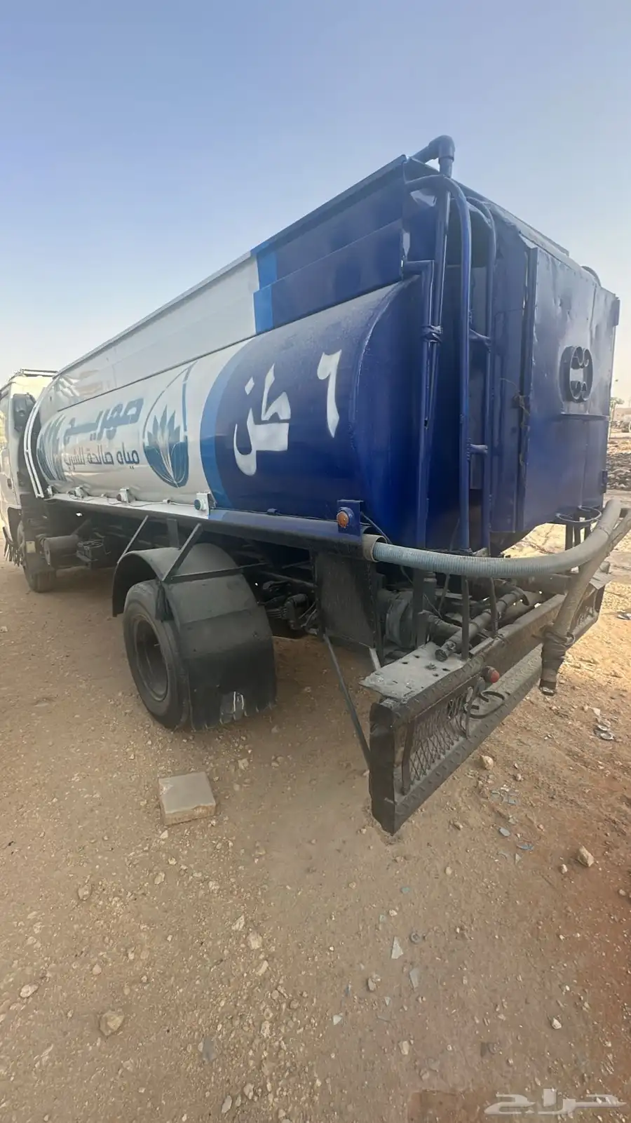 دينا ايسوزو 2008 1