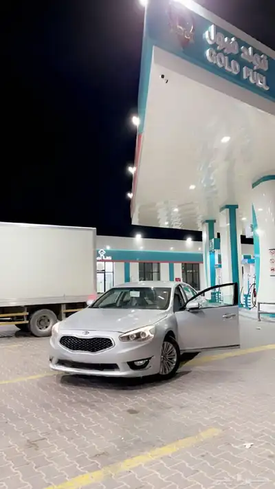 كادتنزا 2014 0