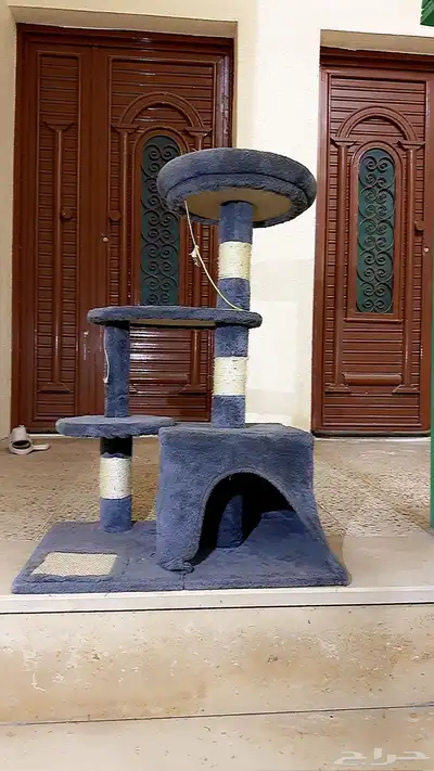 قطط 2