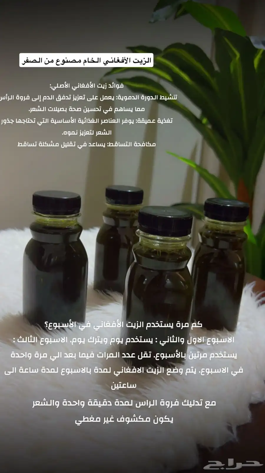 جازان حي الشاطي مخطط 8 29