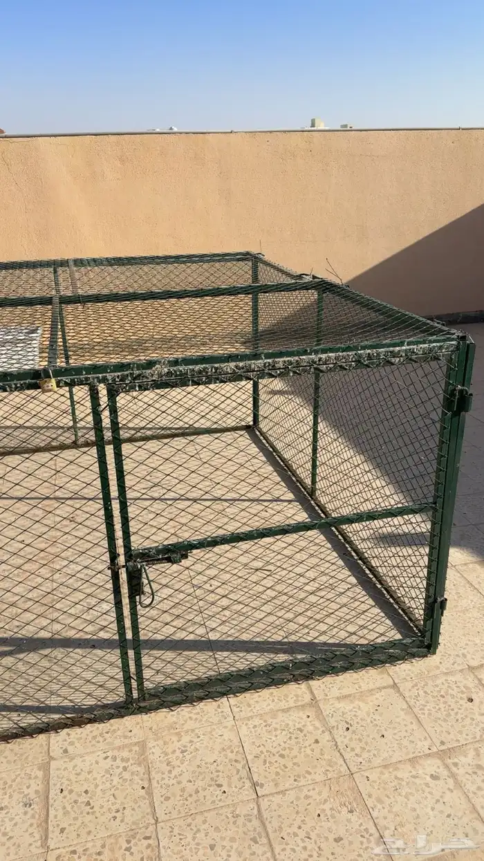 عشه شبك 2