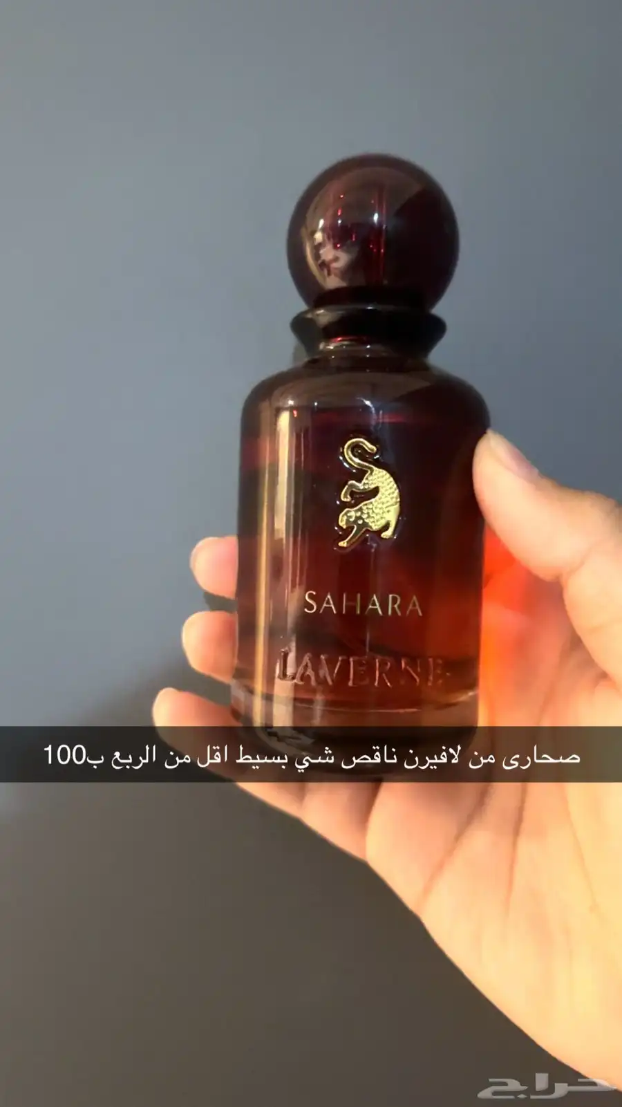 عطر عطور عطورات 4