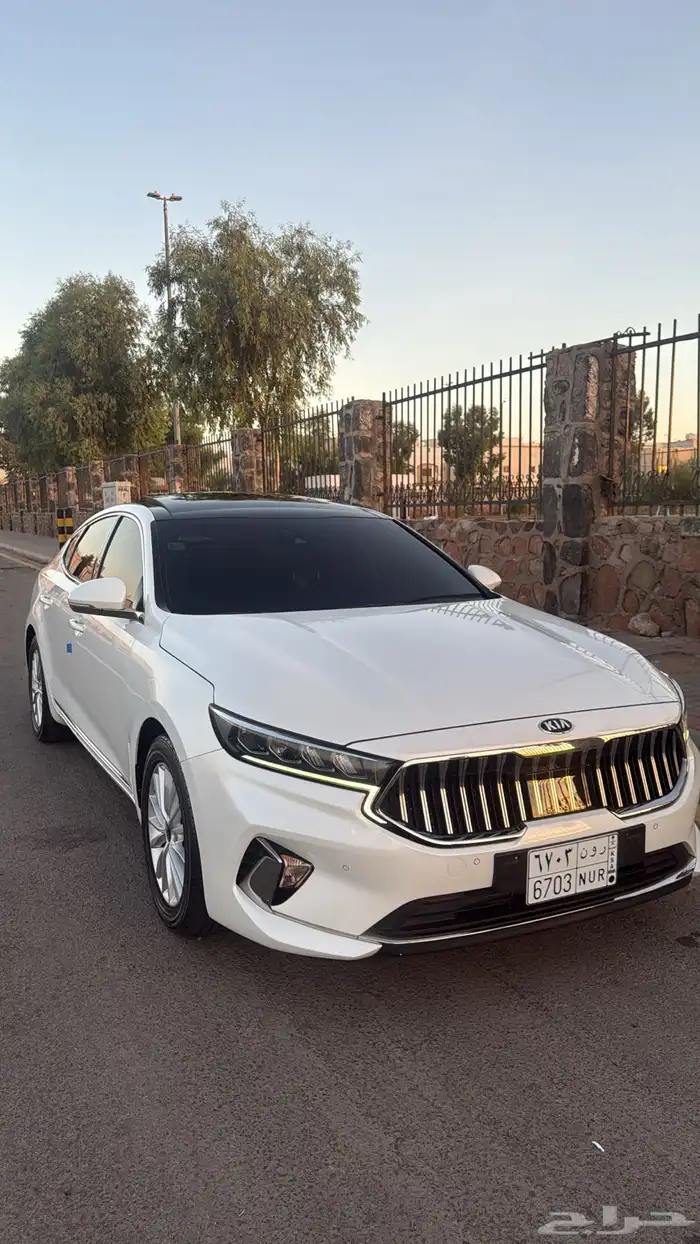 كادينزا k7 2021 10