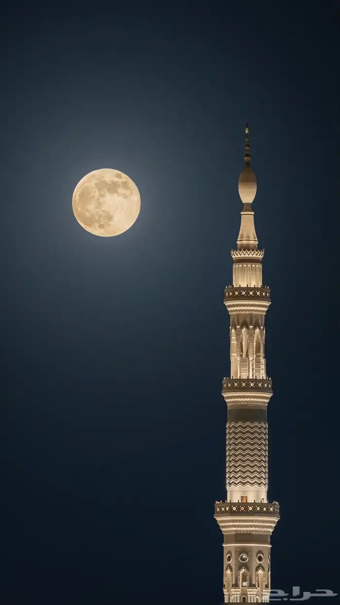 نجفات و لمبات 0