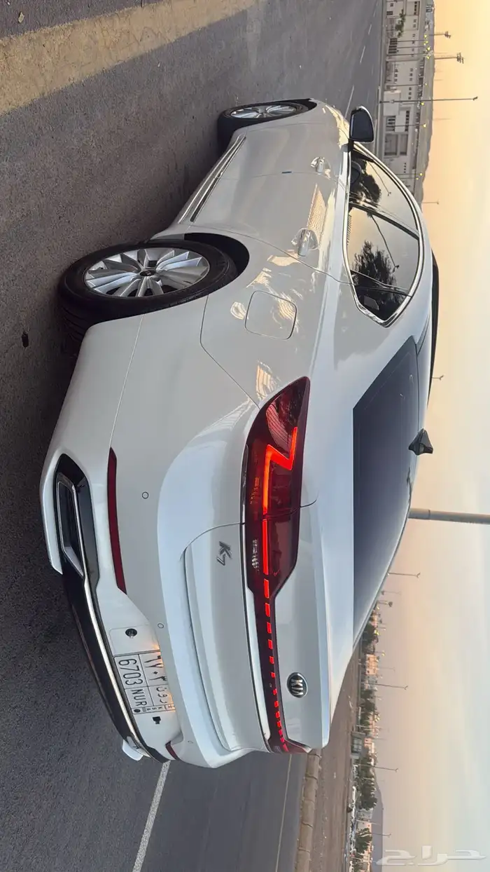كادينزا k7 2021 6