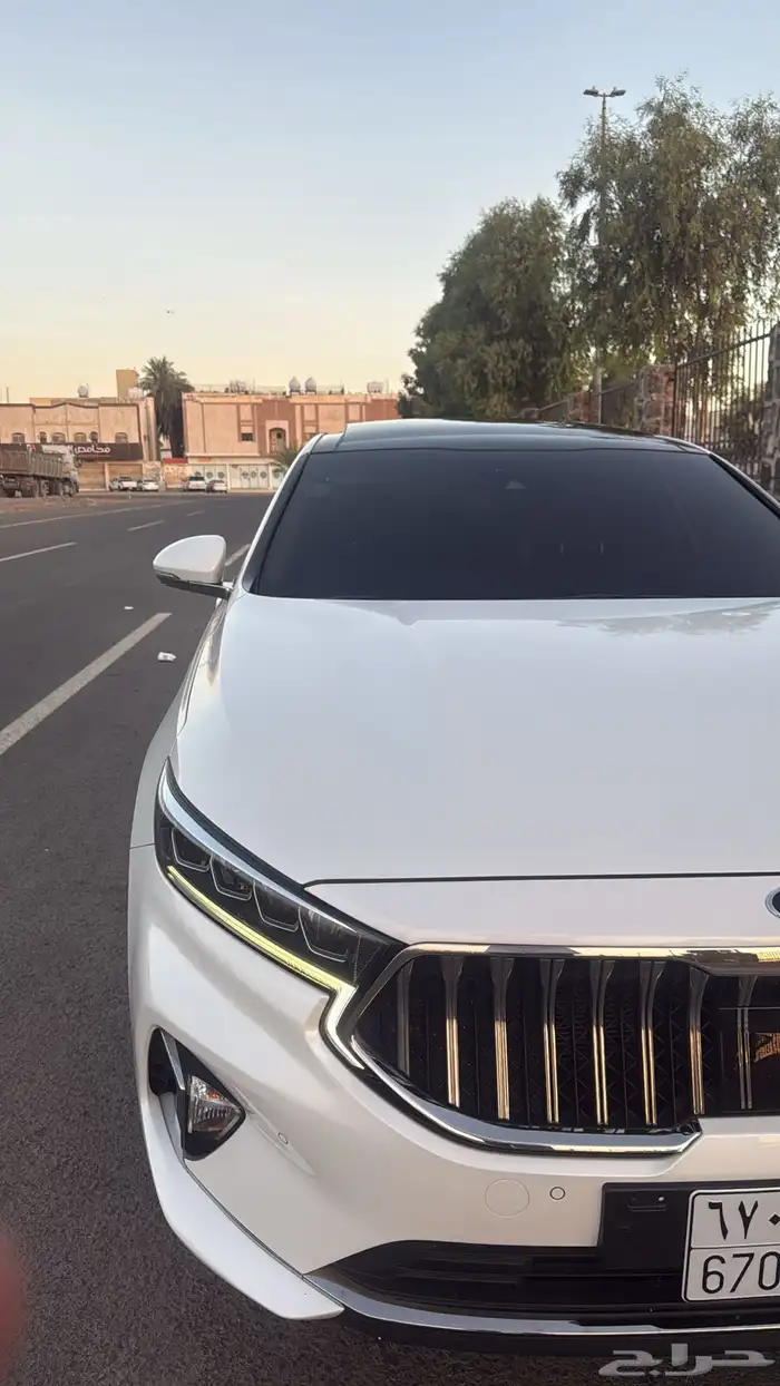 كادينزا k7 2021 5