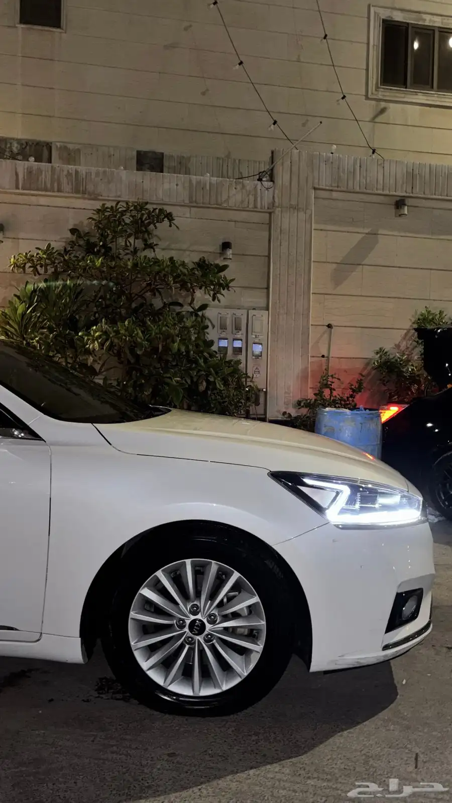 كادينزا 2019 نص فل ديزل (190km) 2