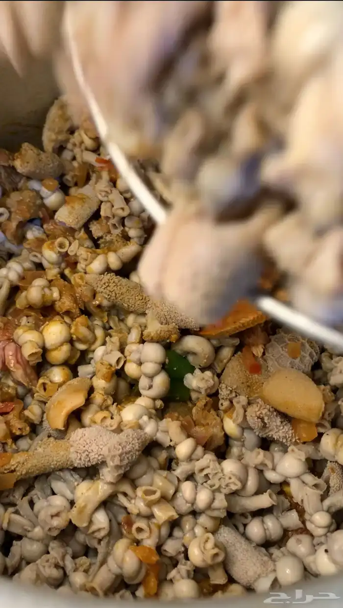 كراعين وكروش ومصارين وروس غنم شغل نظيف جدا . 12