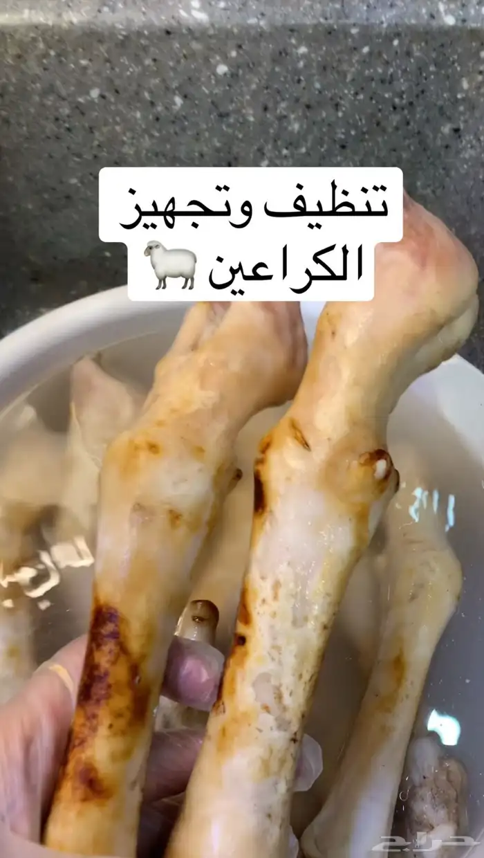 كراعين وكروش ومصارين وروس غنم شغل نظيف جدا . 0