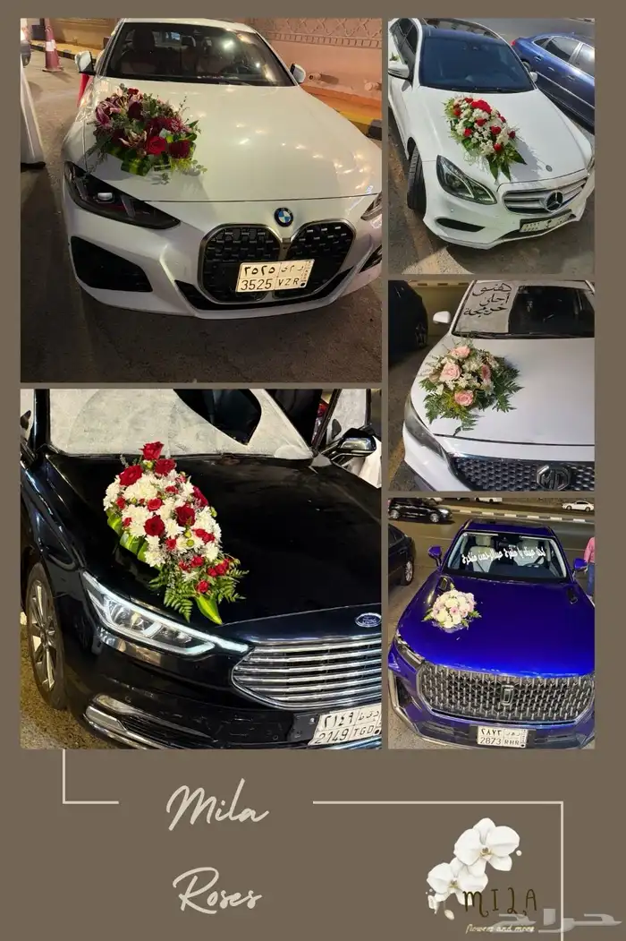 تشريع سيارات العرسان 1