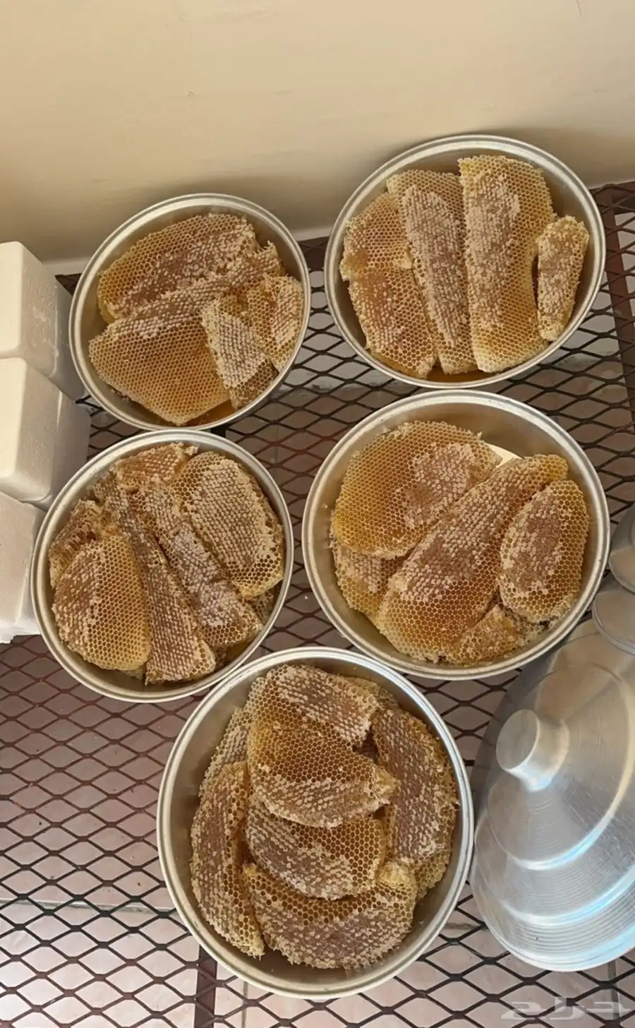 عسل طلحه وسدر 1