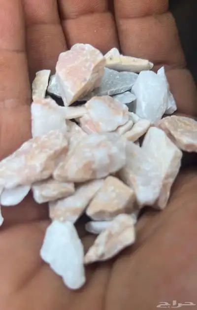 حجر نهري زينة الحدائقة 46