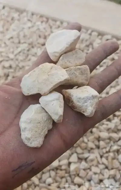 حجر نهري زينة الحدائقة 14