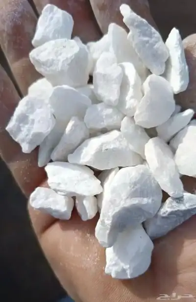 حجر نهري زينة الحدائقة 22