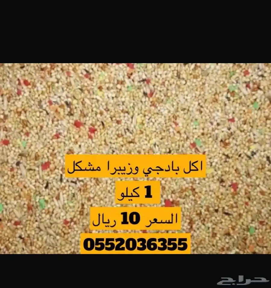 اكل طيور بادجي الحب كناري كروان روز سيريلالك عظم حبار 3