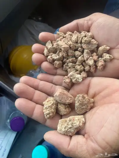 حجر نهري زينة الحدائقة 38
