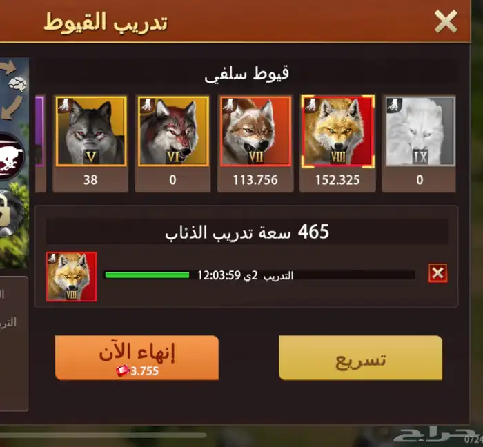Wolf Game الذيب 21