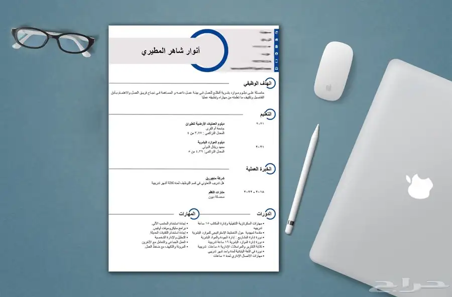 سيرة ذاتية احترافية 8