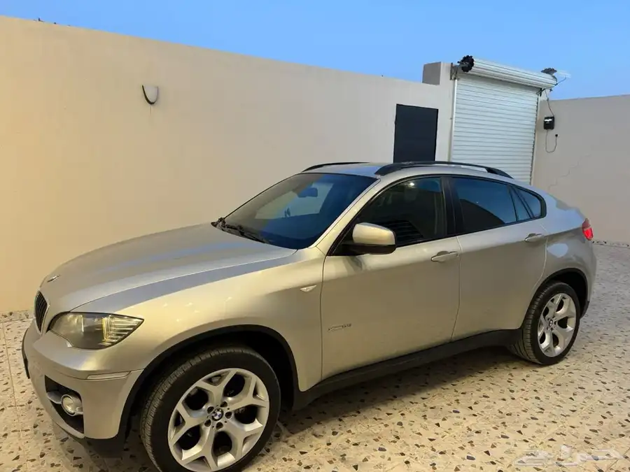 BMW X6 2010 index