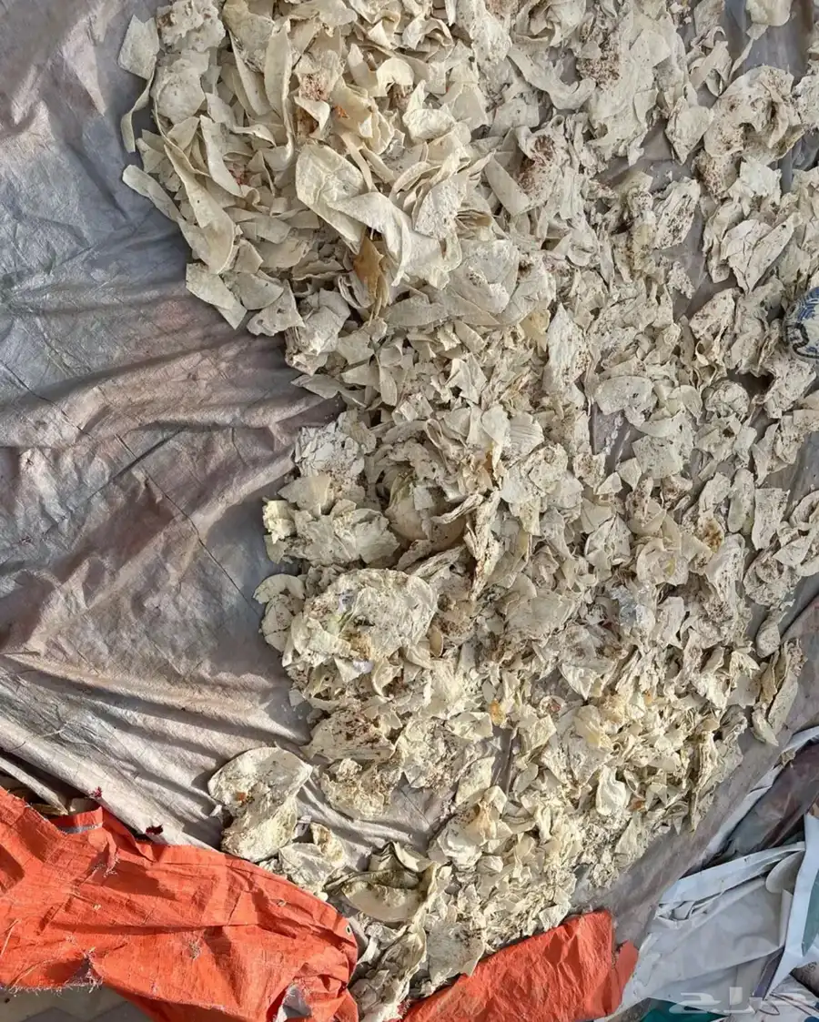 خبز ناشف (يابس) 0