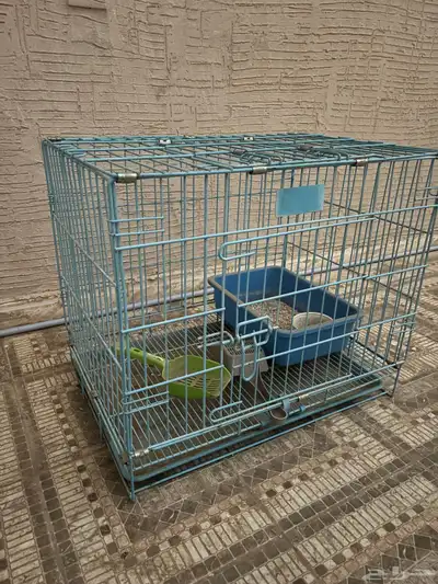 قفص قطه 0