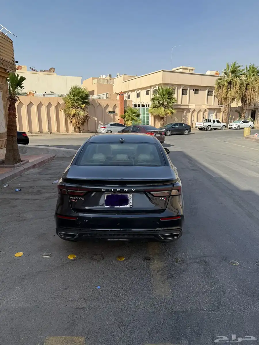 شيري اريزو 6 2024 index