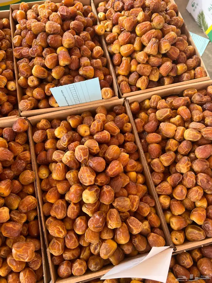 يوجد لدينا انواع التمور الفاخرة 6