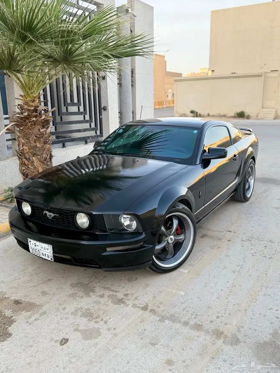 موستنج GT نظيف جدا  مصين كامل index