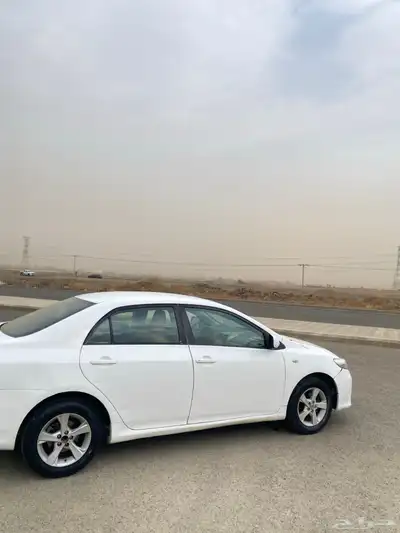 كورلا2013 4