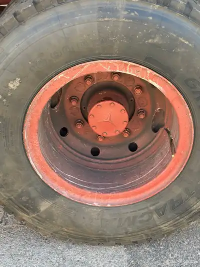 للبيع حصنيه مديل 83 5