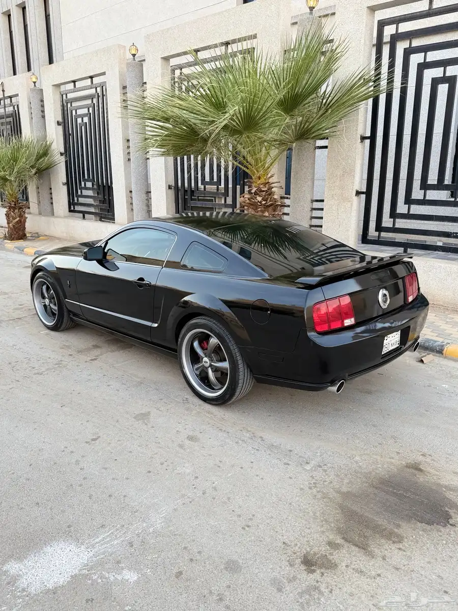 موستنج GT نظيف جدا  مصين كامل 9