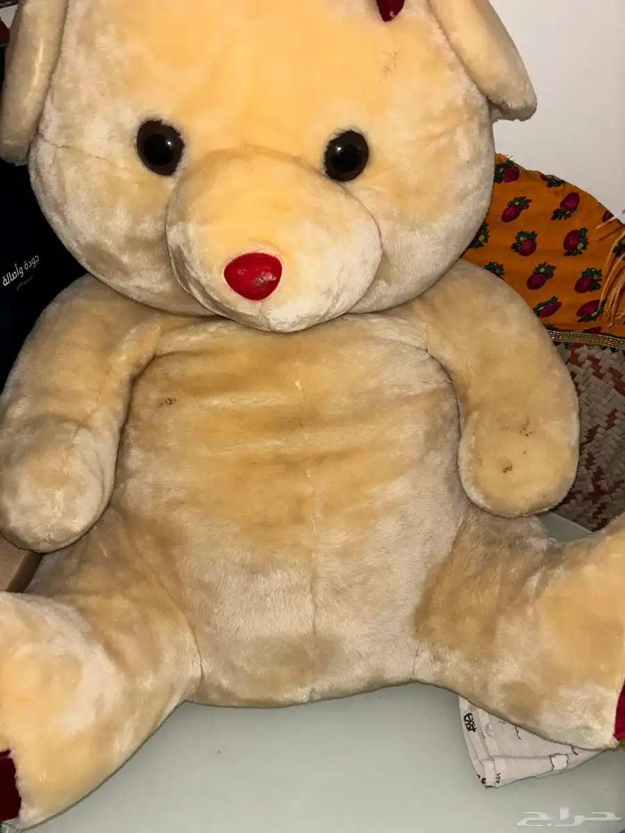 دبدوب جميل 0