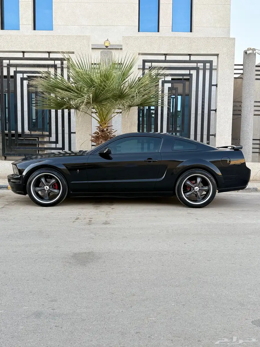 موستنج GT نظيف جدا  مصين كامل 11