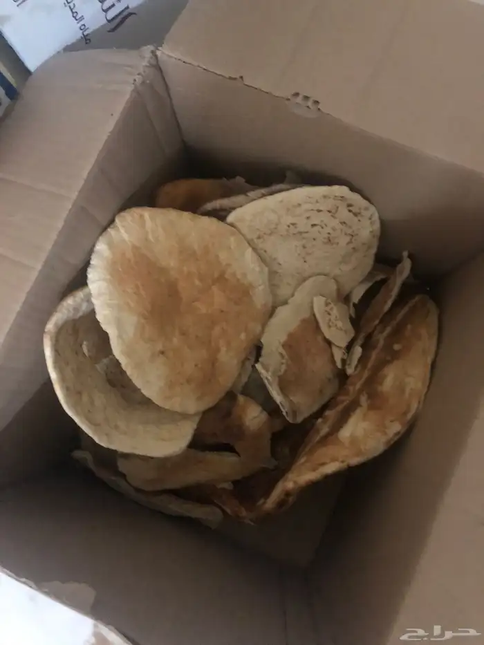 خبز ناشف للاغنام 1