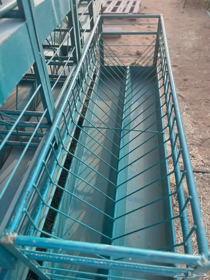 معلف برسيم للغنم 4