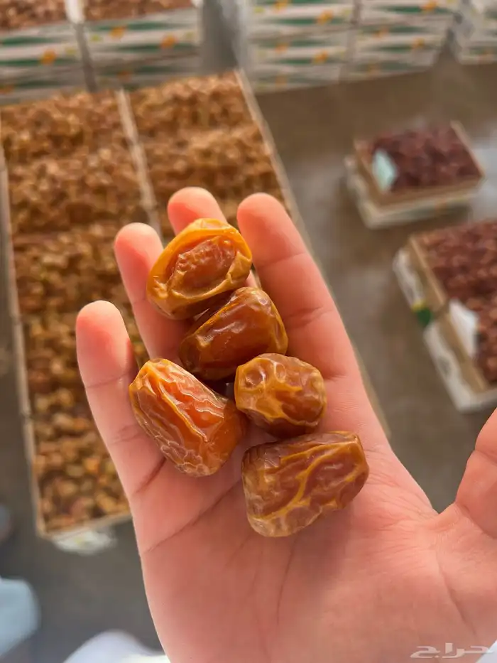يوجد لدينا انواع التمور الفاخرة 8