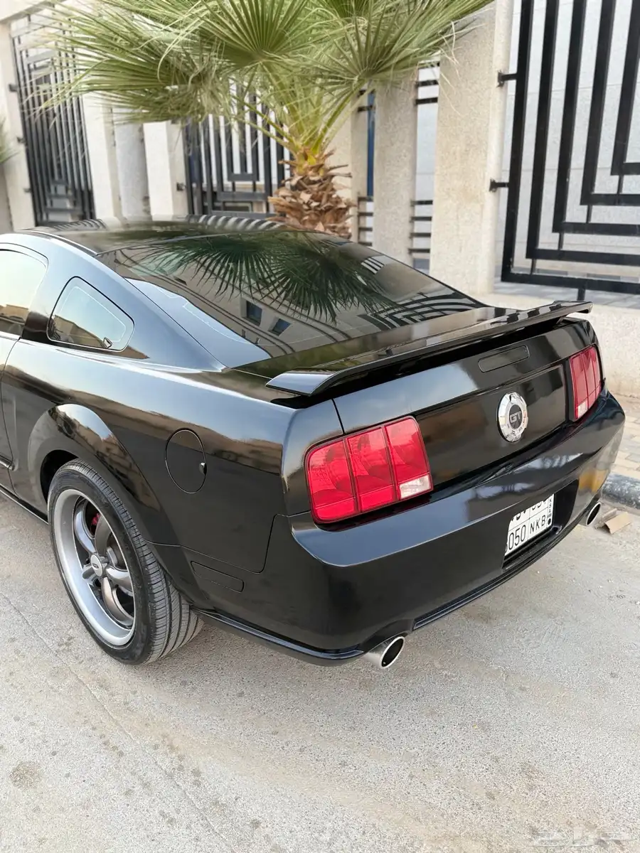 موستنج GT نظيف جدا  مصين كامل 14