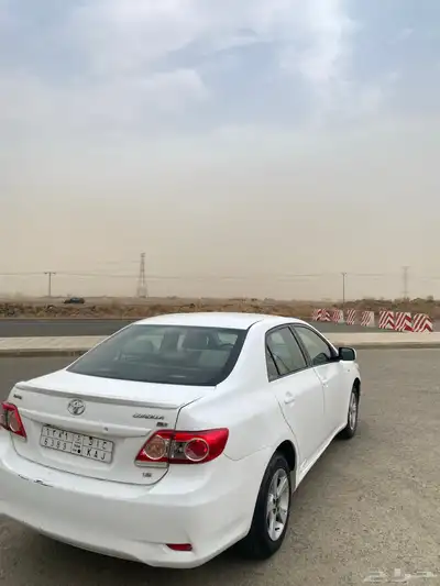 كورلا2013 5