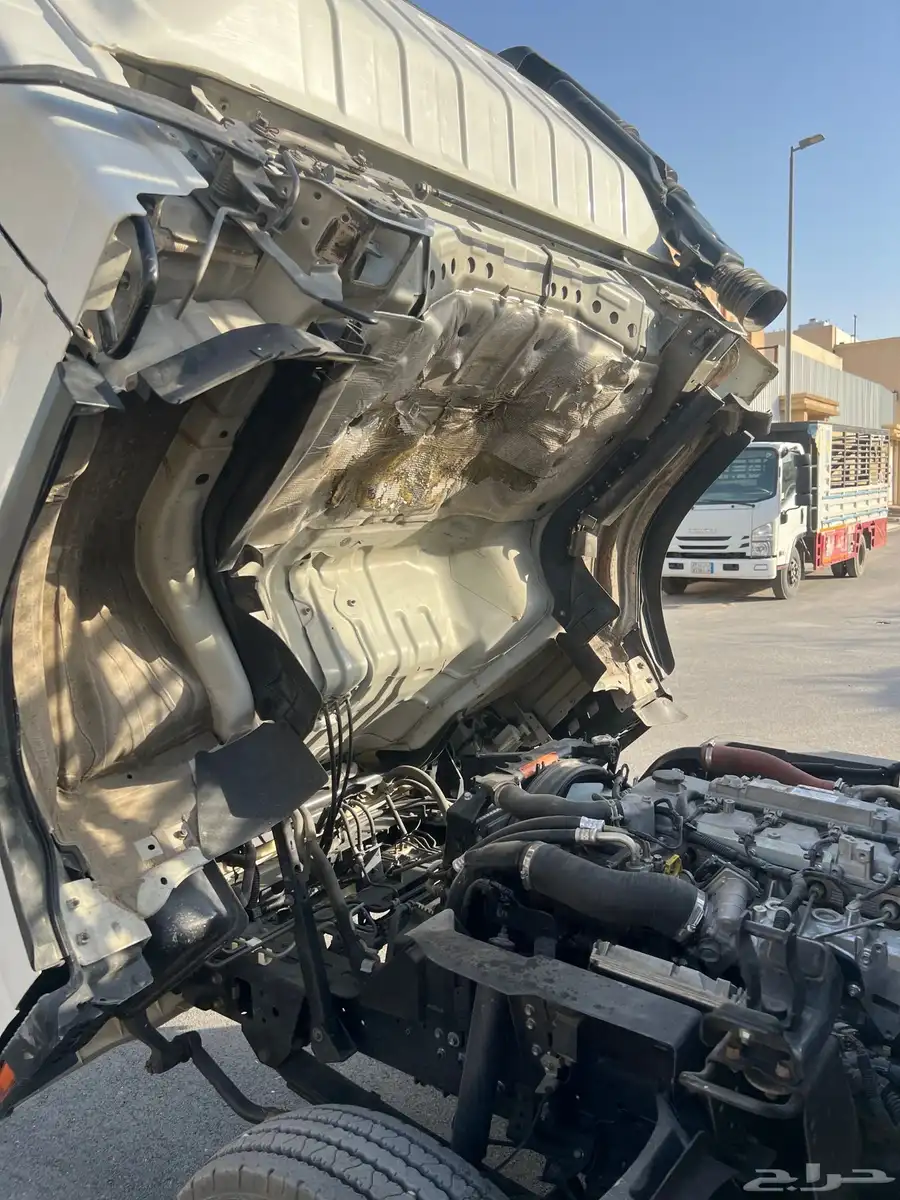 دينا ايسوزو 2019 index