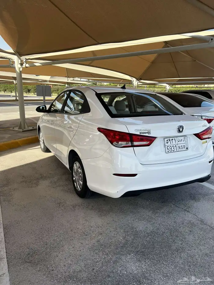 شنجان 2023 2