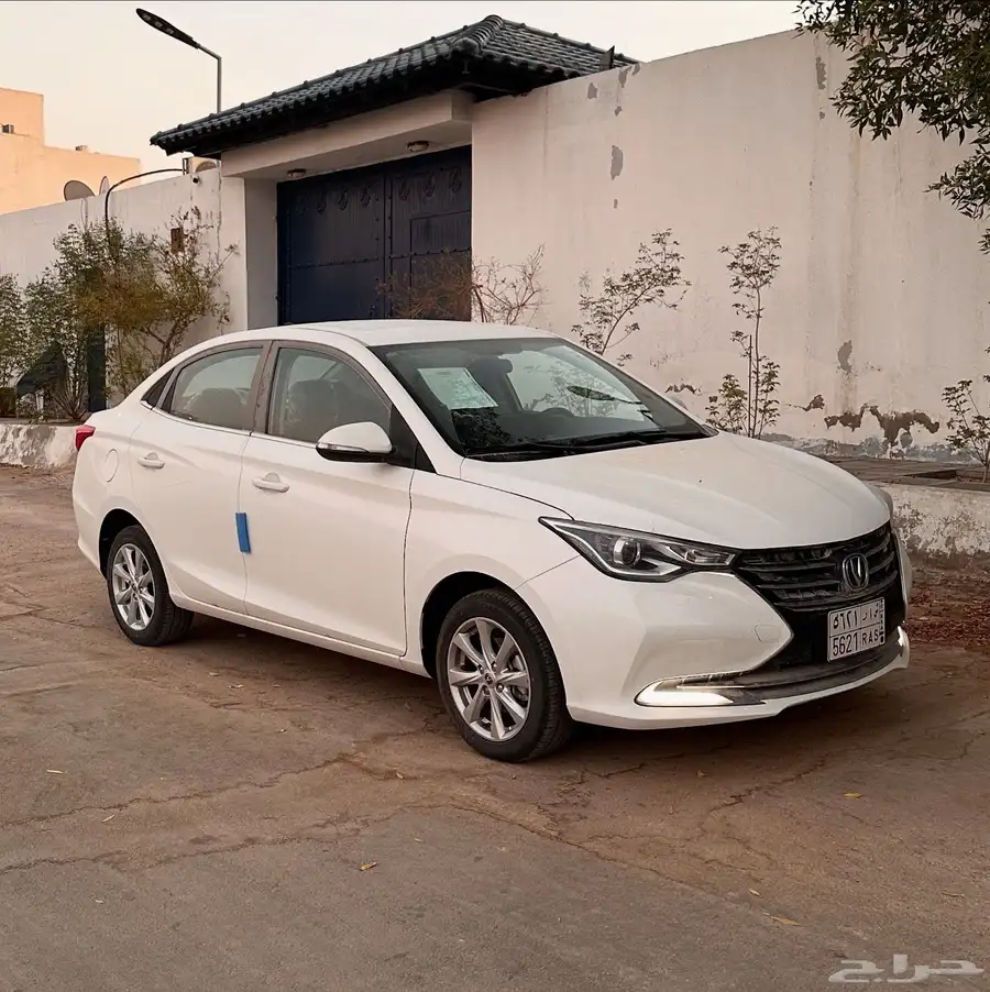 شانجان السفن 2025 فل كامل اصفار 3